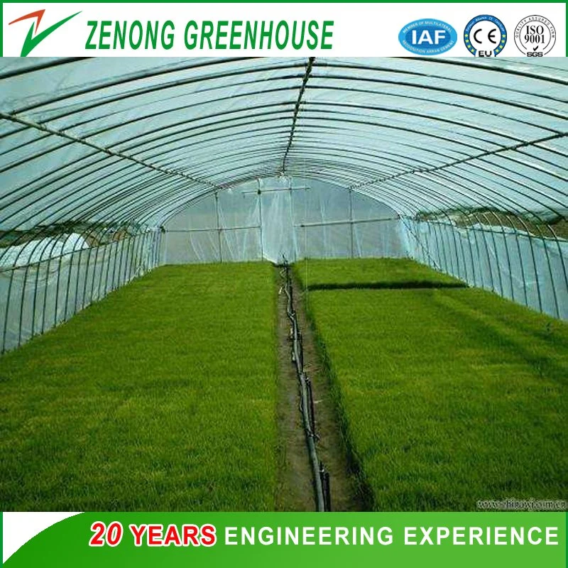 Modern Design Style Poly Single-Arch Film Greenhouse with Shading Screen/Ventilation Equipment