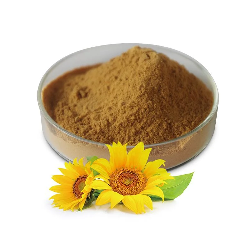 China Stock Sunflower Lecithin 95% 98% Sunflower Lecithin Powder