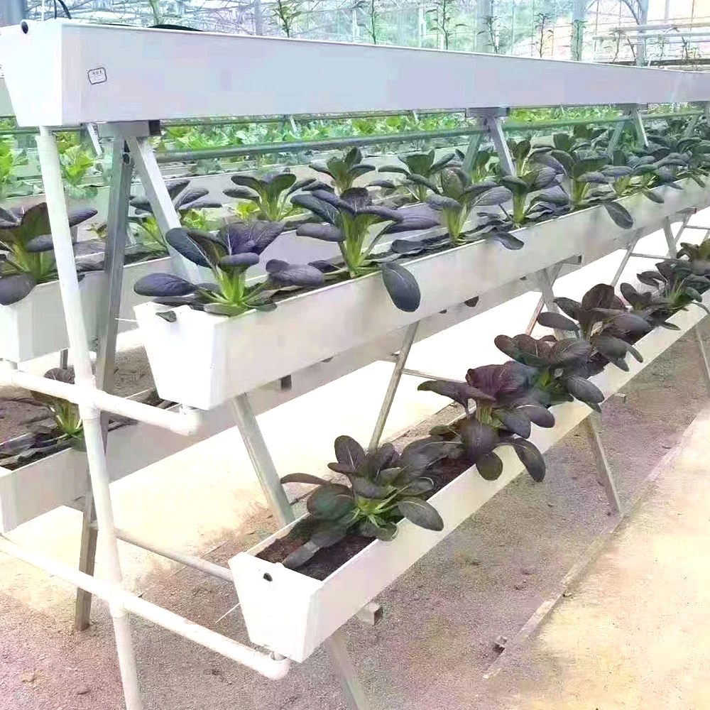 Formativo la flor de hortalizas de la Granja/horizontal de la torre de planta con el sistema de cultivo hidropónico Nft Soilless Canal de la cultura en invernadero