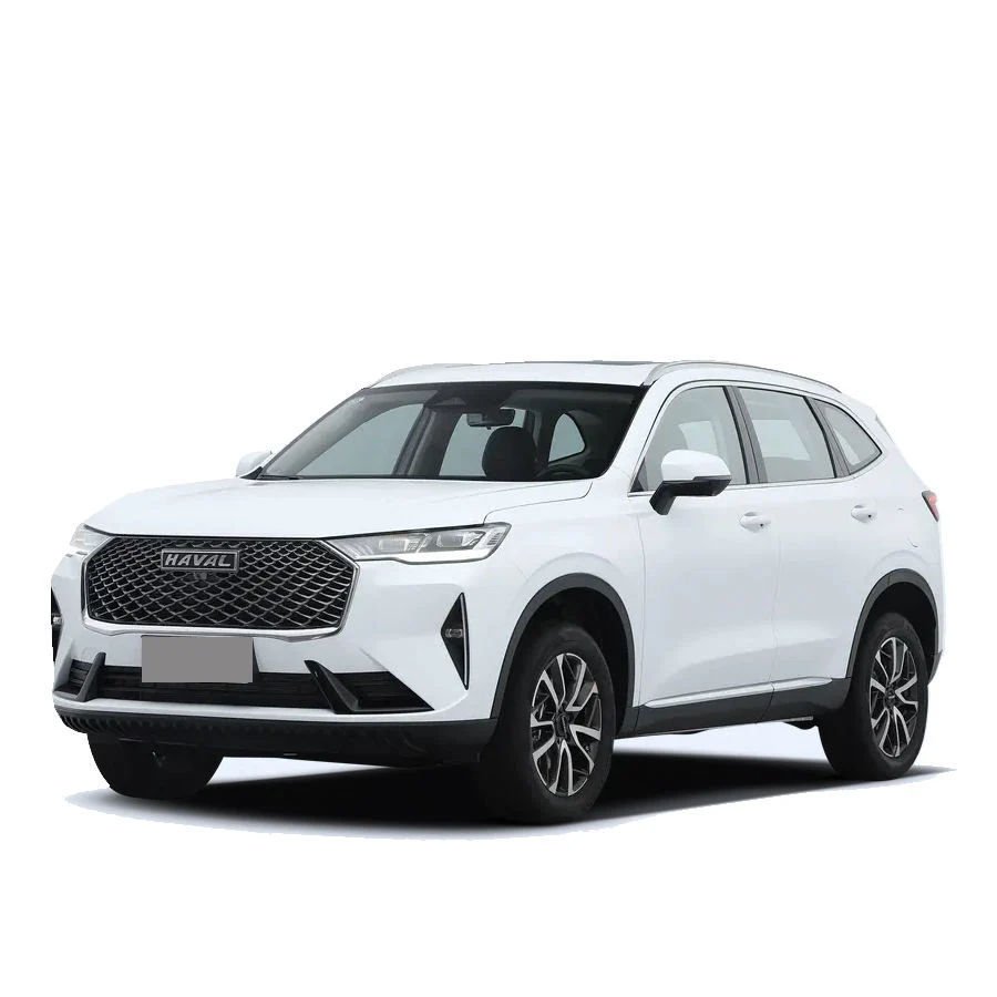 Sport SUV Haval H6 2023 2022 2021 1.5t Fwd Gasoline Adult Vehicles Made in China Electric Fabric Turbo Multi-Function Automatic