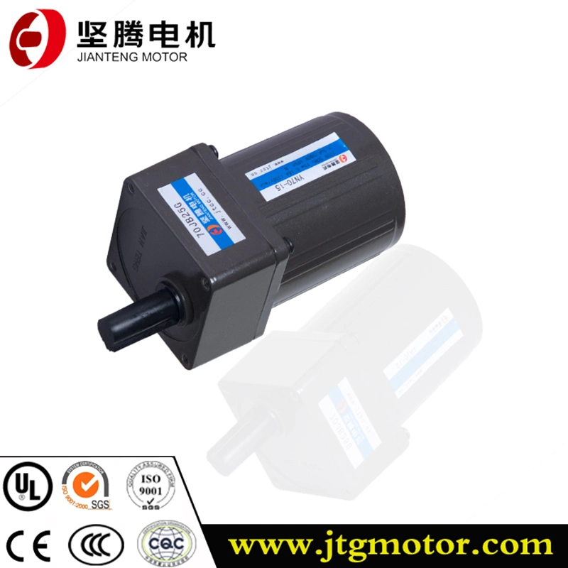 Professional and Efficient 10W-200W AC Gear Motor Electrical Motor Induction Motor for Power Transmission