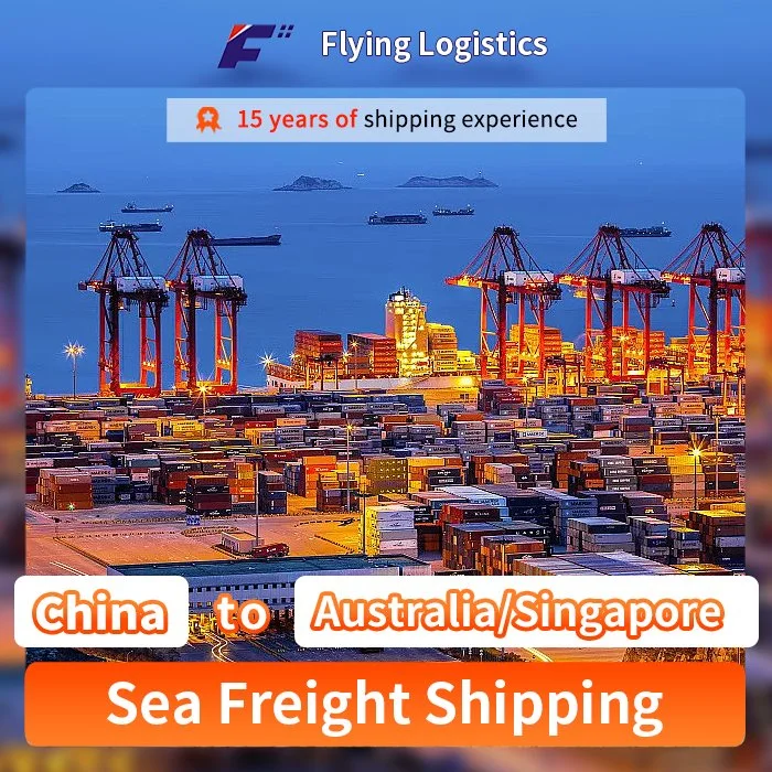 Agent d'expédition Service transitaire maritime vers l'Australie/Singapour depuis la Chine