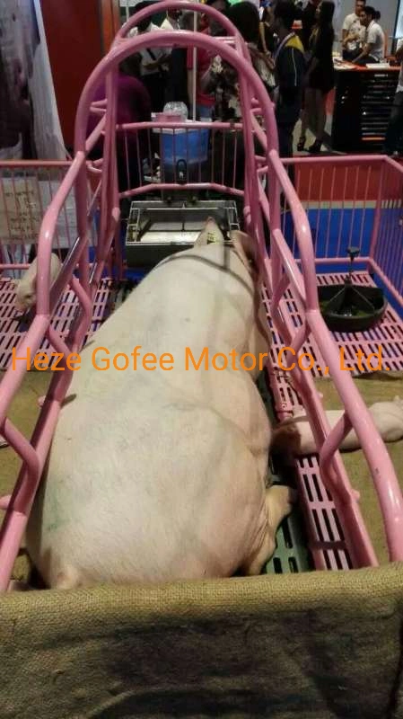 Sow Exclusive Feeding Chute Trough Farrowing Pig Feeder