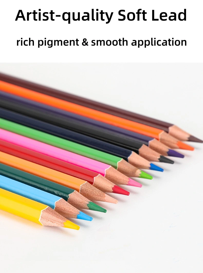 Crayons de couleur professionnels à base d'eau 12 couleurs, cœur doux de qualité artiste avec couleurs vives, parfaits pour dessiner des ombres d'esquisses