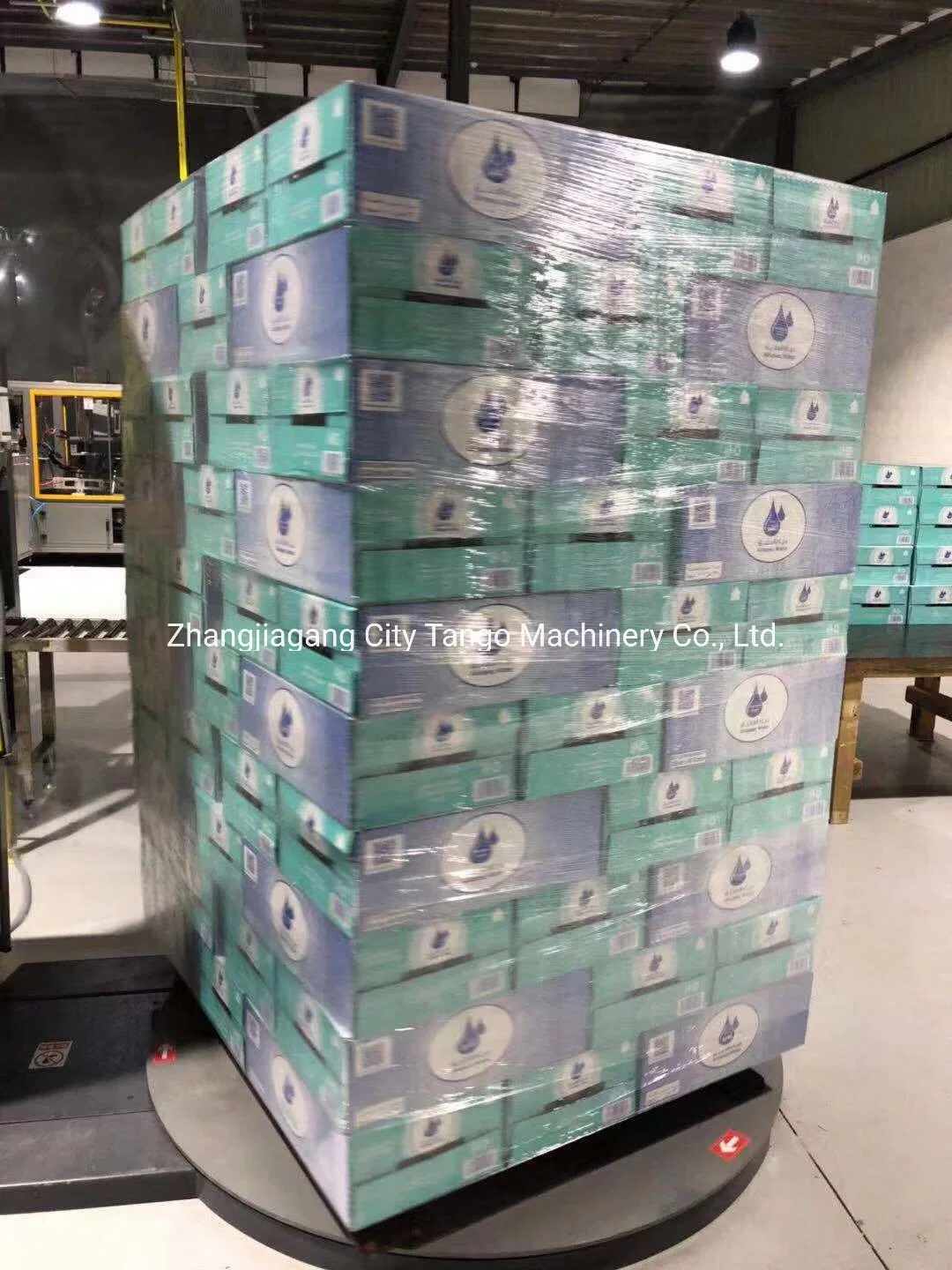 Automatic Pet Bottle Box Carton Grab Sucker Packing Packaging Machine