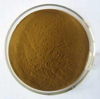 Echinacea Extract 4% Polyphenols for Antibacterial Echinacea Extract 10: 1 Powder