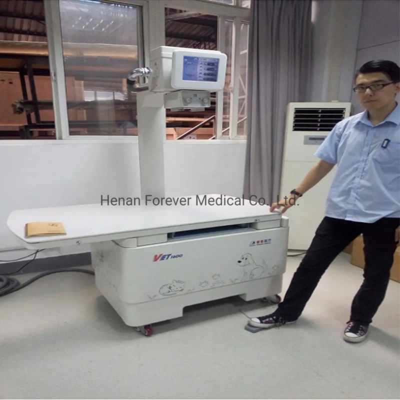 New Type Veterinary Digital Radiography System Medical X-ray Detection Machine