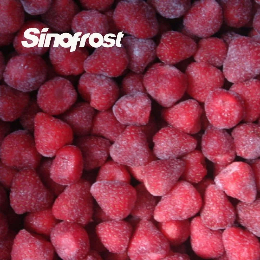 Leading Frozen Berries Manufacturer and Wholesale Supplier Whole IQF Strawberries American No. 13 Variety Exporter