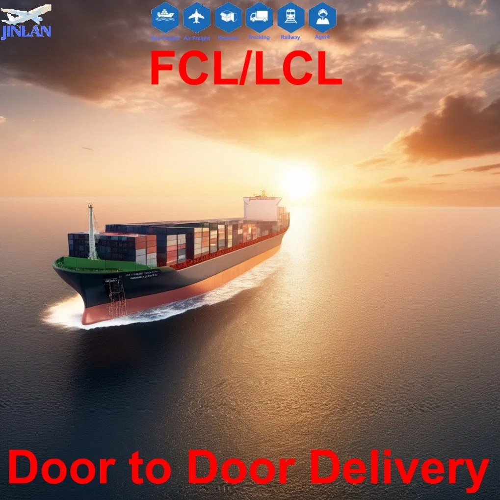 Freight Forwarder Sea Logistics Shipping Forwarder CIF From Shenzhen to Guyana, Bahamas, Trinidad and Tobago