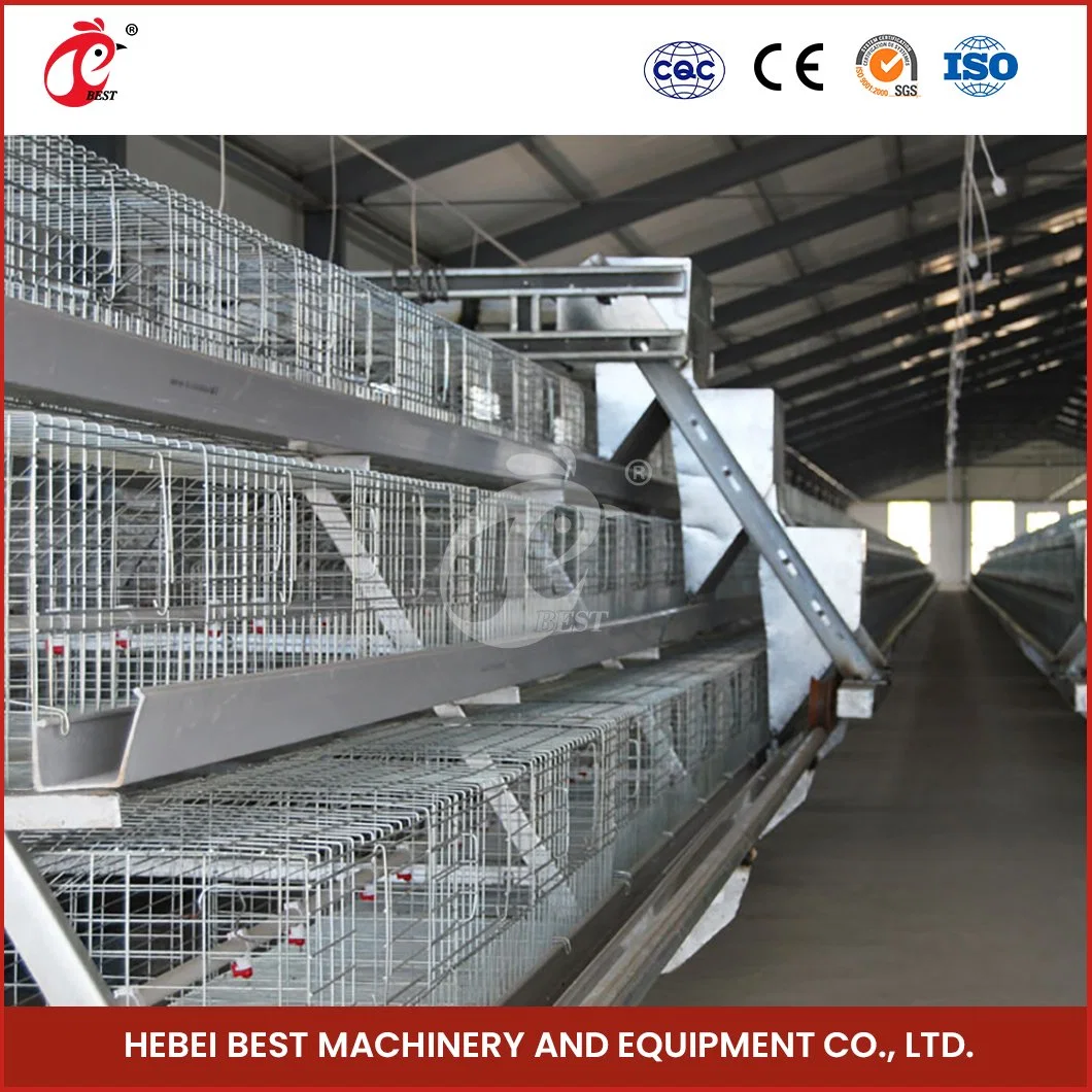 Bestchickencage China Chicken Aviary Supplier a Frame Automatic Broiler Cages Sample Available Wide Space Between Tie-Bars Range Chicken Coop