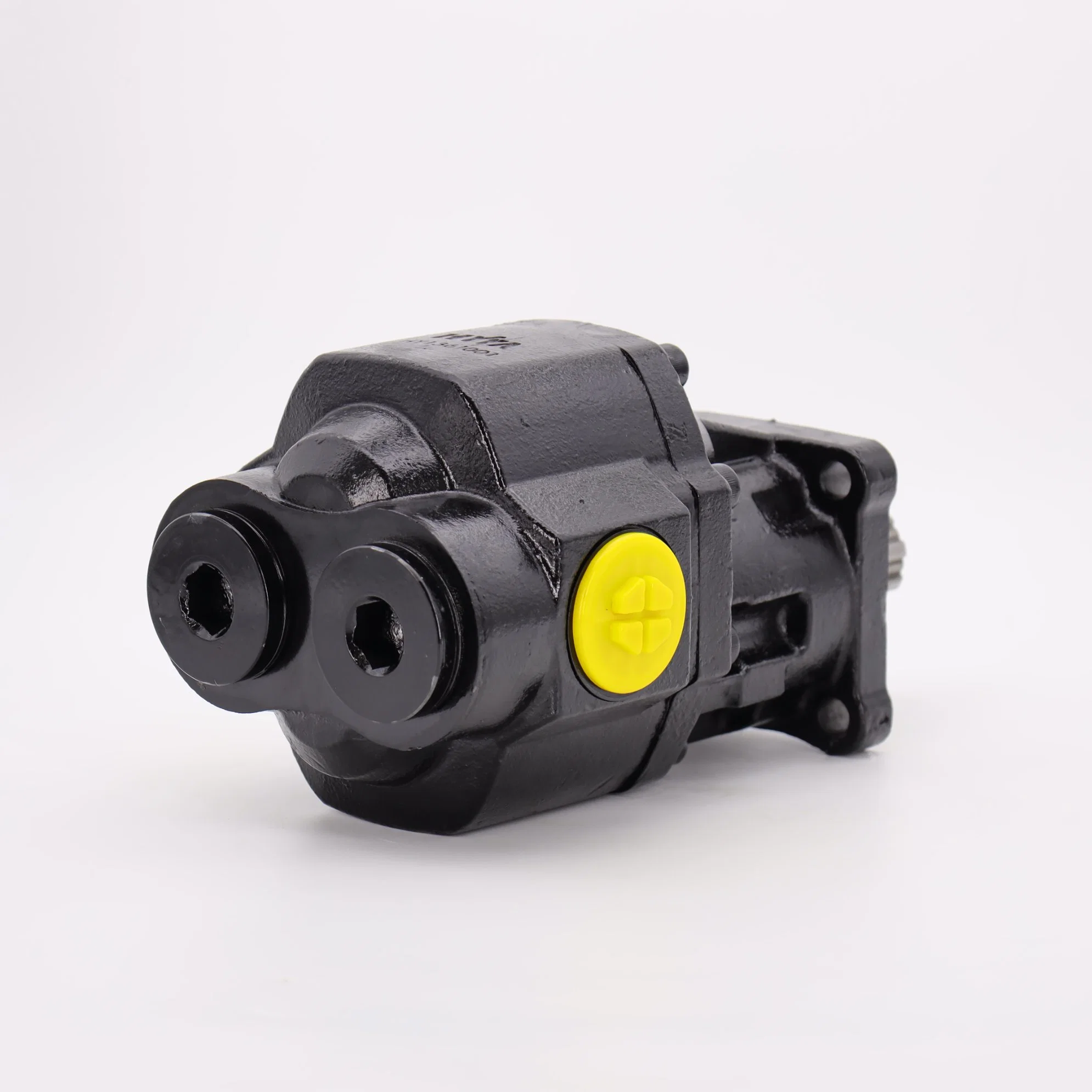 100cc Hyva Hydraulic Gear Pump for Truck Tipping System