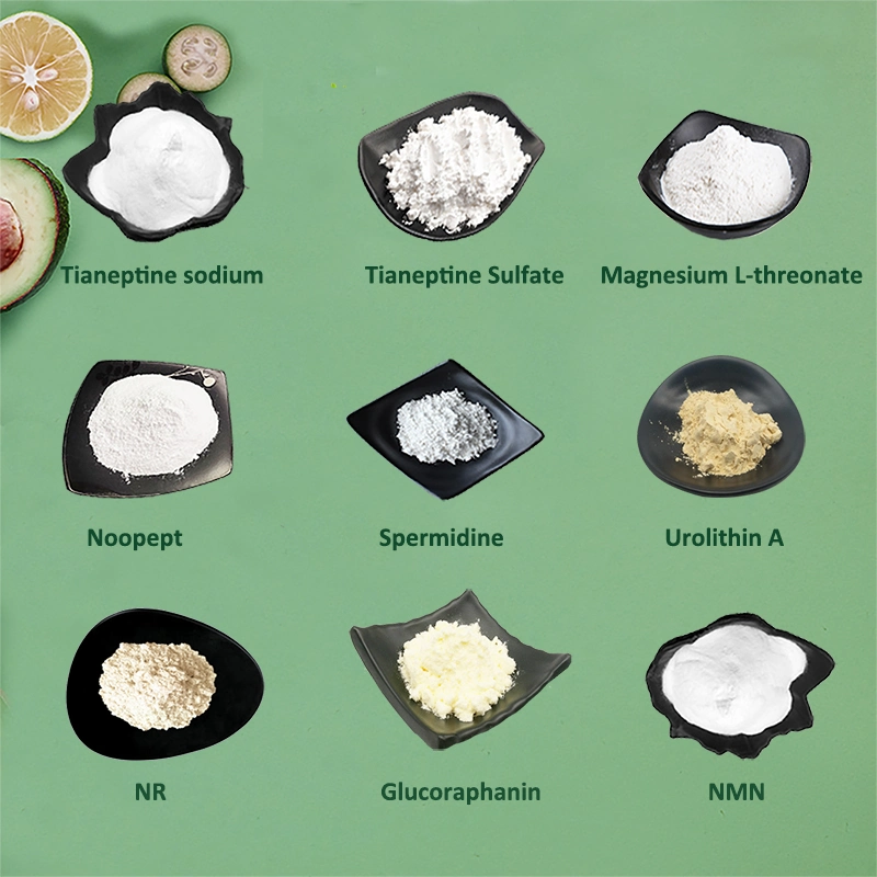 Alimentation en usine Gamma PGA poudre acide polyglutamique