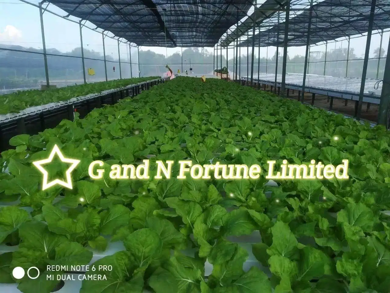 Farm Irrigation System Hydroponic Nft Channel Hydroponic Greenhouse Systems