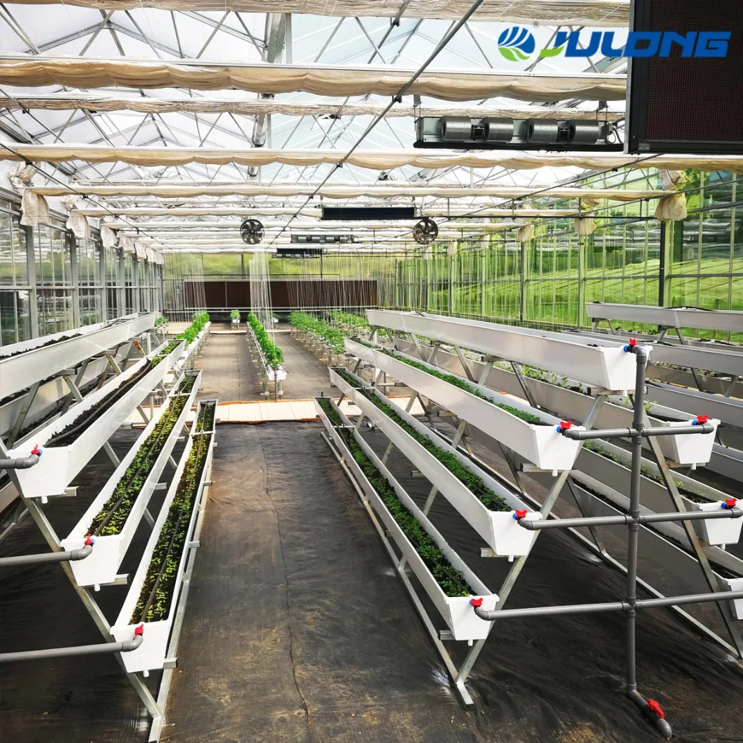 Greenhouses Vertical Farming Hydroponics Grow Vegetables Plastic Film Multi Span for Sale