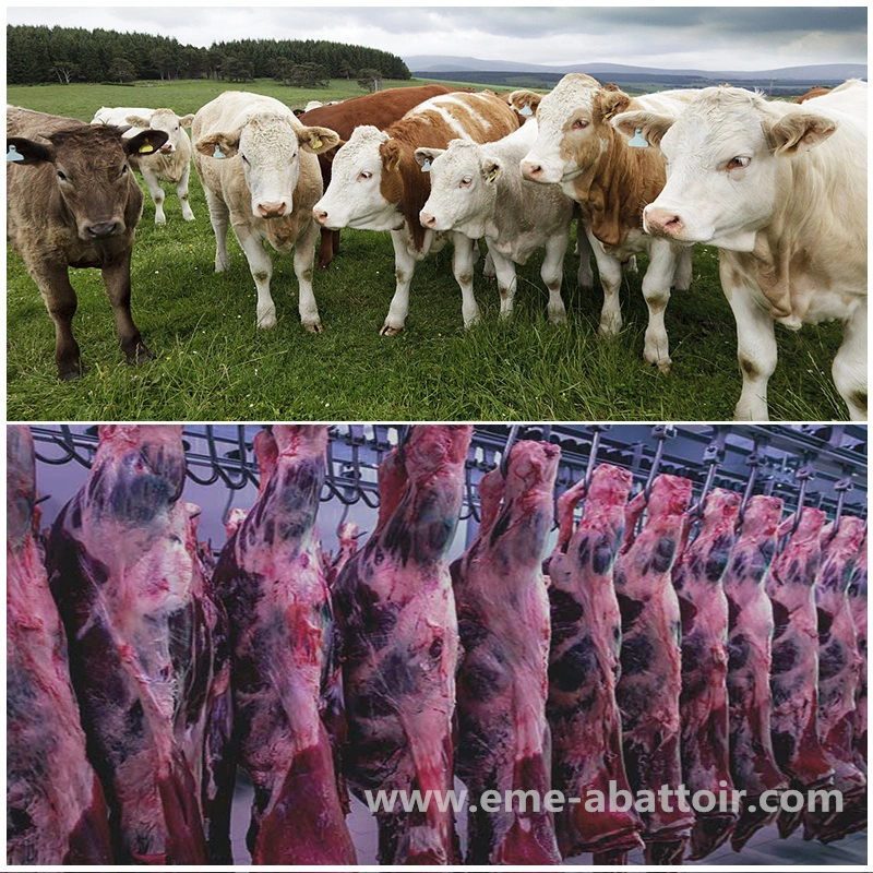 Auto Livestock Abattoir Butcher Tools Cattle Slaughter Skinning Knife Cow Slaughterhouse Equipment