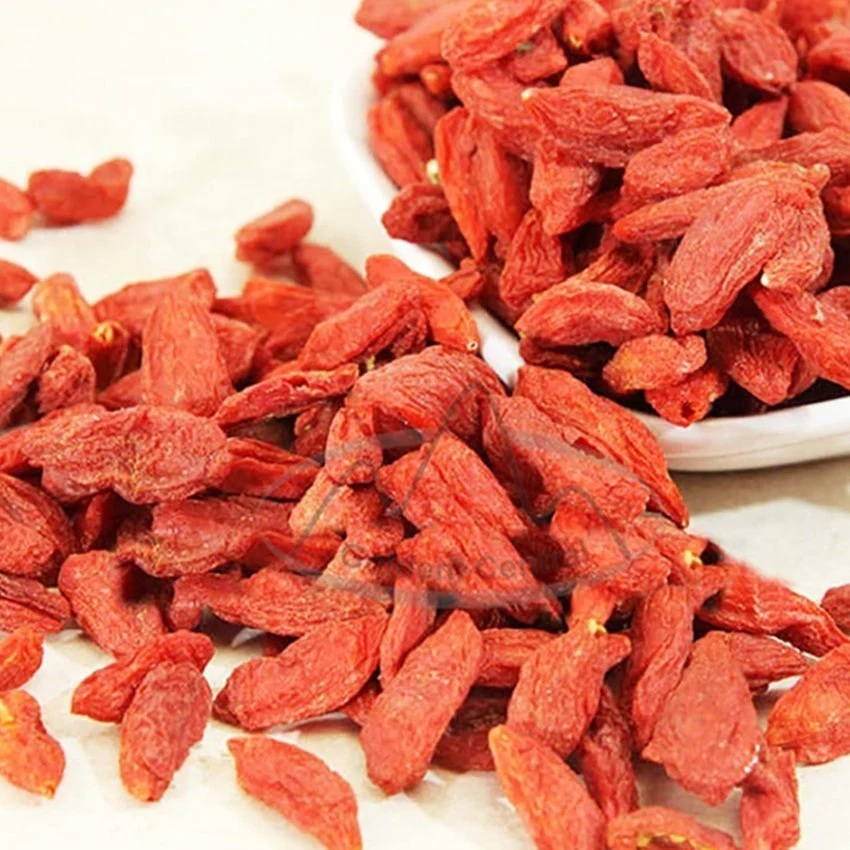 Goji High Quality for Health Fruit Tea Dried Red Goji Berry