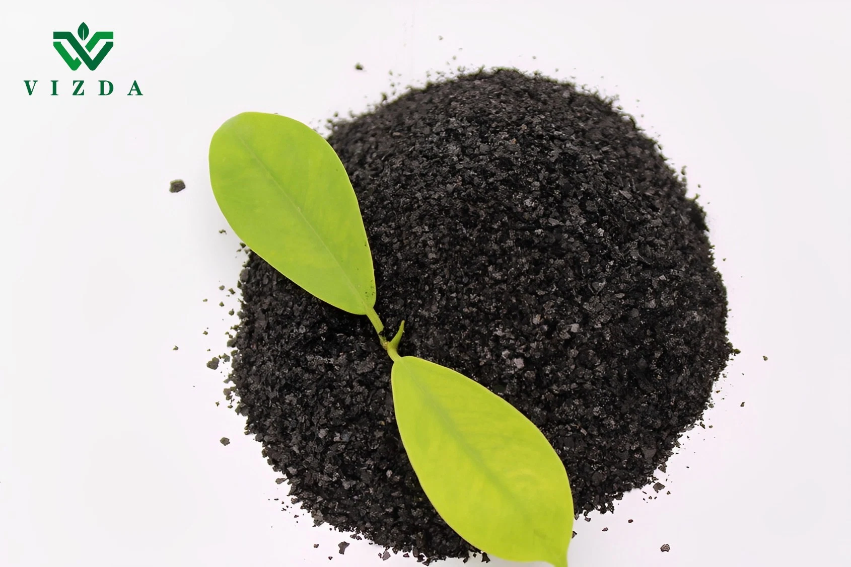 Dried Seaweed Fertilizer Powder