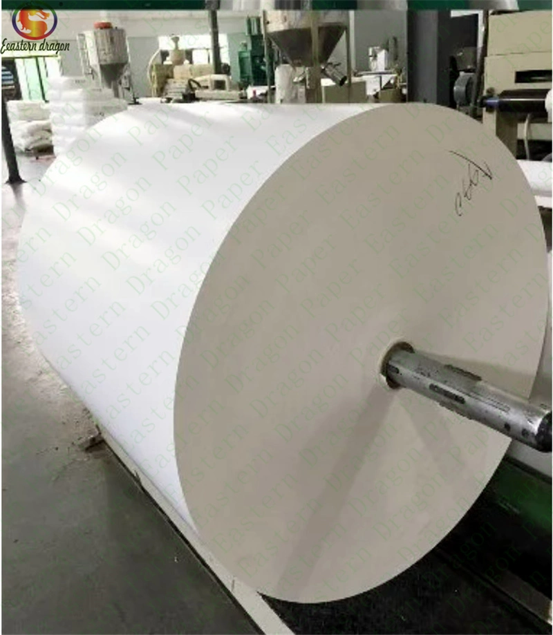 190GSM+15g PE Coated Cupstock Paper in Rolls