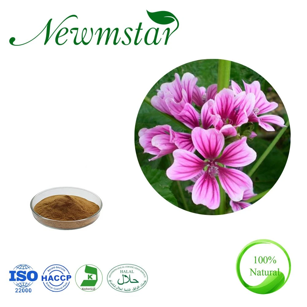 Free Sample Mallow Extract @Malva Sylvestris Flower Extract for Skin Care