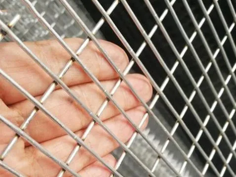 Stainless Steel/ Galvanized Welded Wire Mesh Mild Steel Wire Net