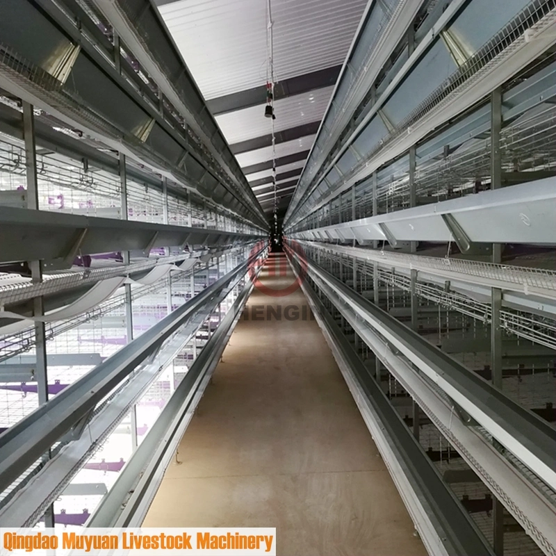 H Type Poultry Chicken Layer Cage Automatic Poultry Farm