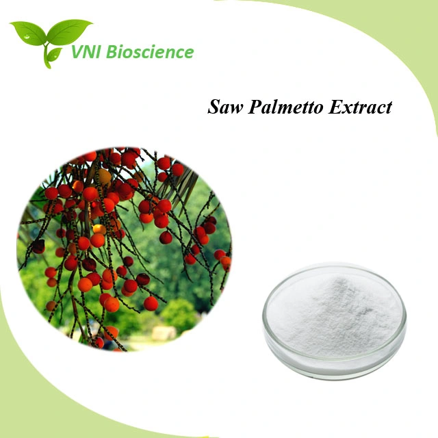 Kosher Halal Certified Fatty Acid Powder Saw Palmetto Plant Extract