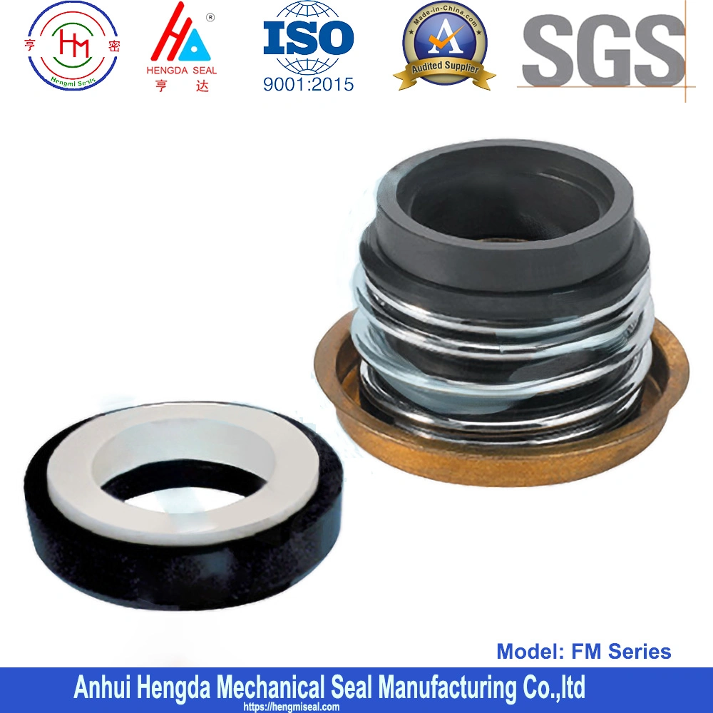 Fbwe Umbra Ugg Ugh Mechanical Seal for Peugeot 405 Pump Seal, Mtu Ugh, Pg 405 Turbojoints