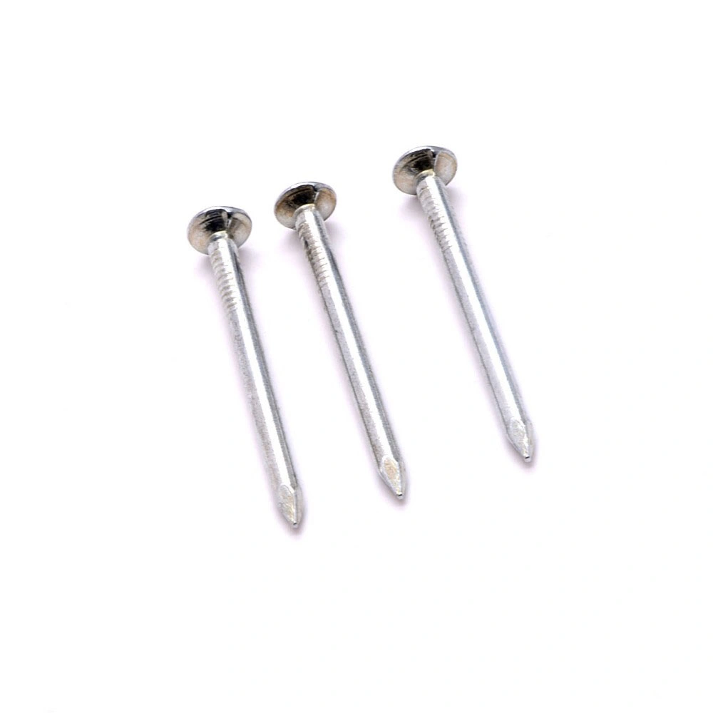 Building Nail Iron Nail Common Iron Nail