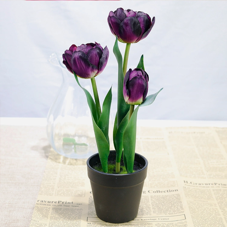 Floristry Supplies Home Decorative 3-Heads Flower Bonsai White Tulip Silk for Artificial Bonsai Mini Tulip Etimo Wholesale/Supplier Tulip