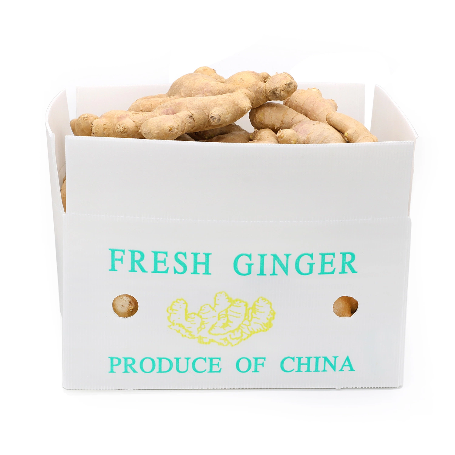 2022 New Crop High quality/High cost performance  Chinese Fresh Ginger for Sale