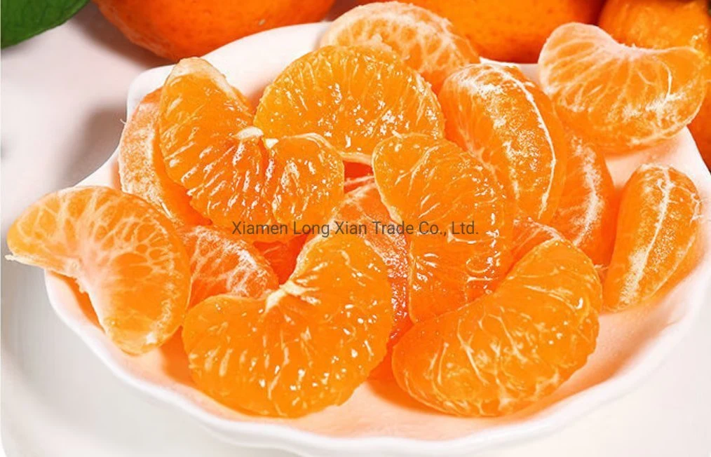 Canned Fruit Mandarin Oranges in Syrup OEM Brand Fresh Packed Tin/Glass Jars