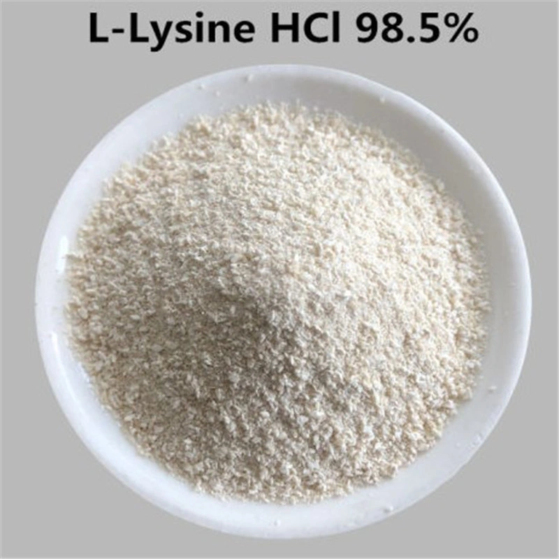 High Purity L-Lysine 98% / L-Lysine HCl