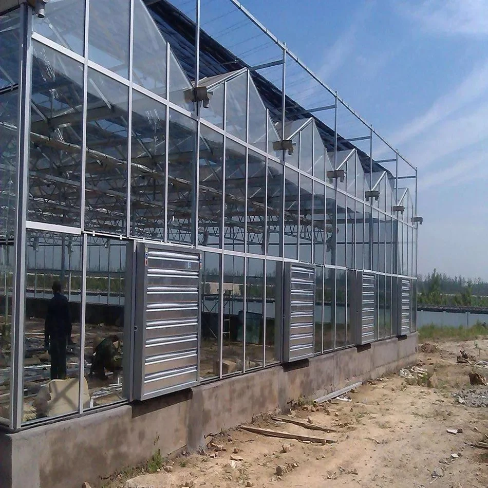 PC Sheet Steel Structure Frame House Polycarbonate Greenhouse with Hydroponic System