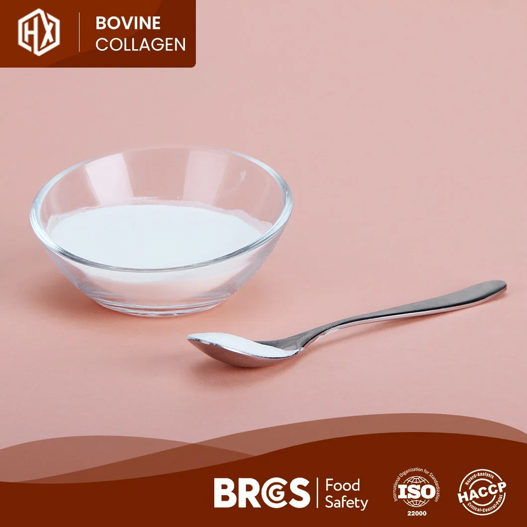 Haoxiang Bulk Pure Natural 90% Protein Powder Food Grade Bovine Skin Collagen Powder China Manufacturers High-Purity Hydrolyzed Bovine Hide Collagen Peptides