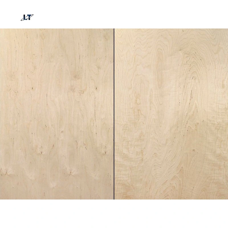 12mm 18mm Phenolic Resin Coated 100% White Birch Plywood Board