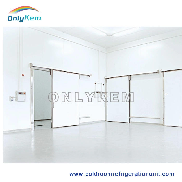 Manufacturer Frozen Fish Storage Freezer Cold Room in Bulgaria