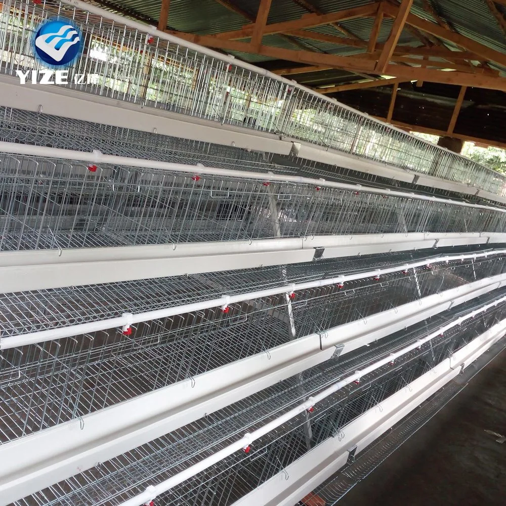 Battery Cages for Poultry Chicken Layer for Broilers and Baby Chicks