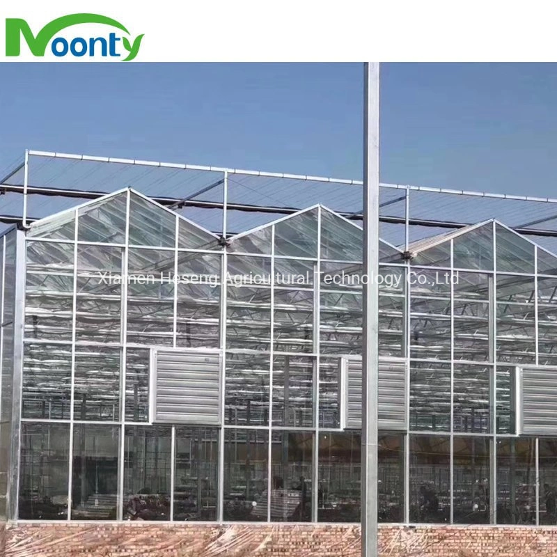 Modern Agricultural Velo Multi-Span Glass House High quality/High cost performance Solar Glass Greenhouse with Automatic Control System