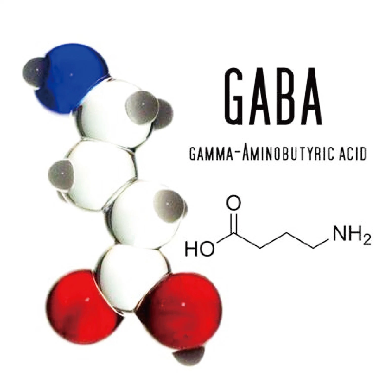 High quality/High cost performance  Gamma Aminobutyric Acid 99% Purity GABA Powder