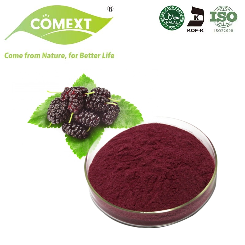 Comext Us Stock High quality/High cost performance Natural Mulberry Juice Powder Mulberry Fruit Powder