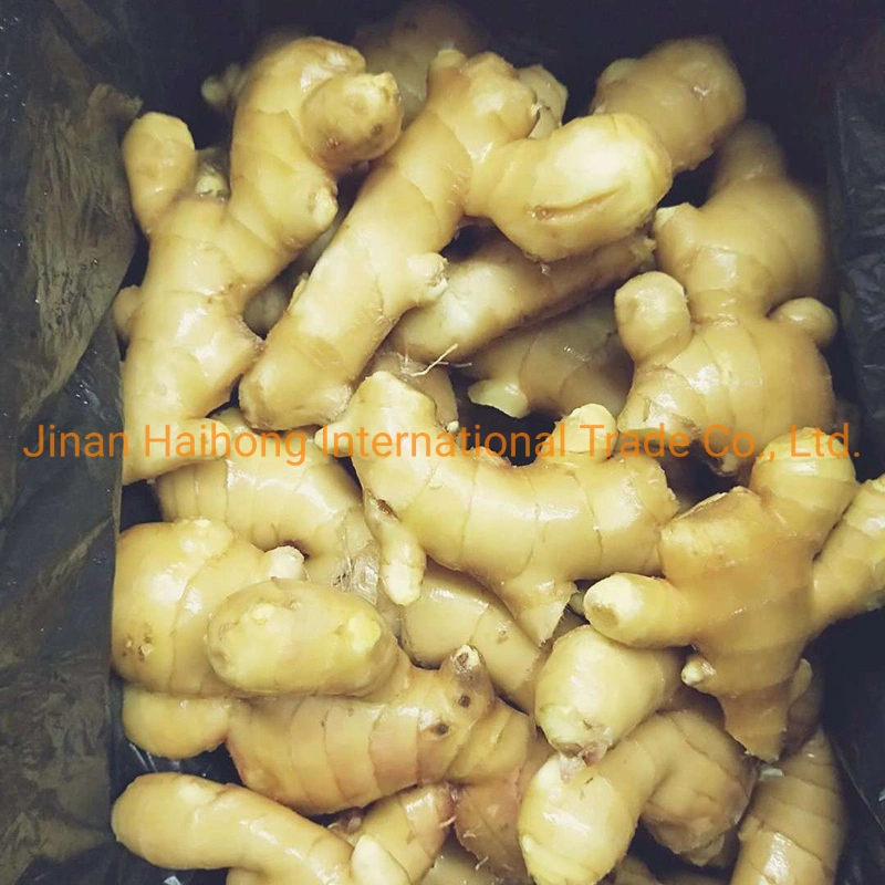 Air Dry Ginger with Good Quality