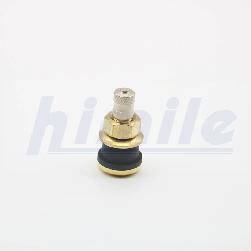 Himile Car Tire Valve Tr576 Supply Hearvy Truck Van Bus Tubeless Tyre Valve/Tire Valve for Steel Wheels Bending.