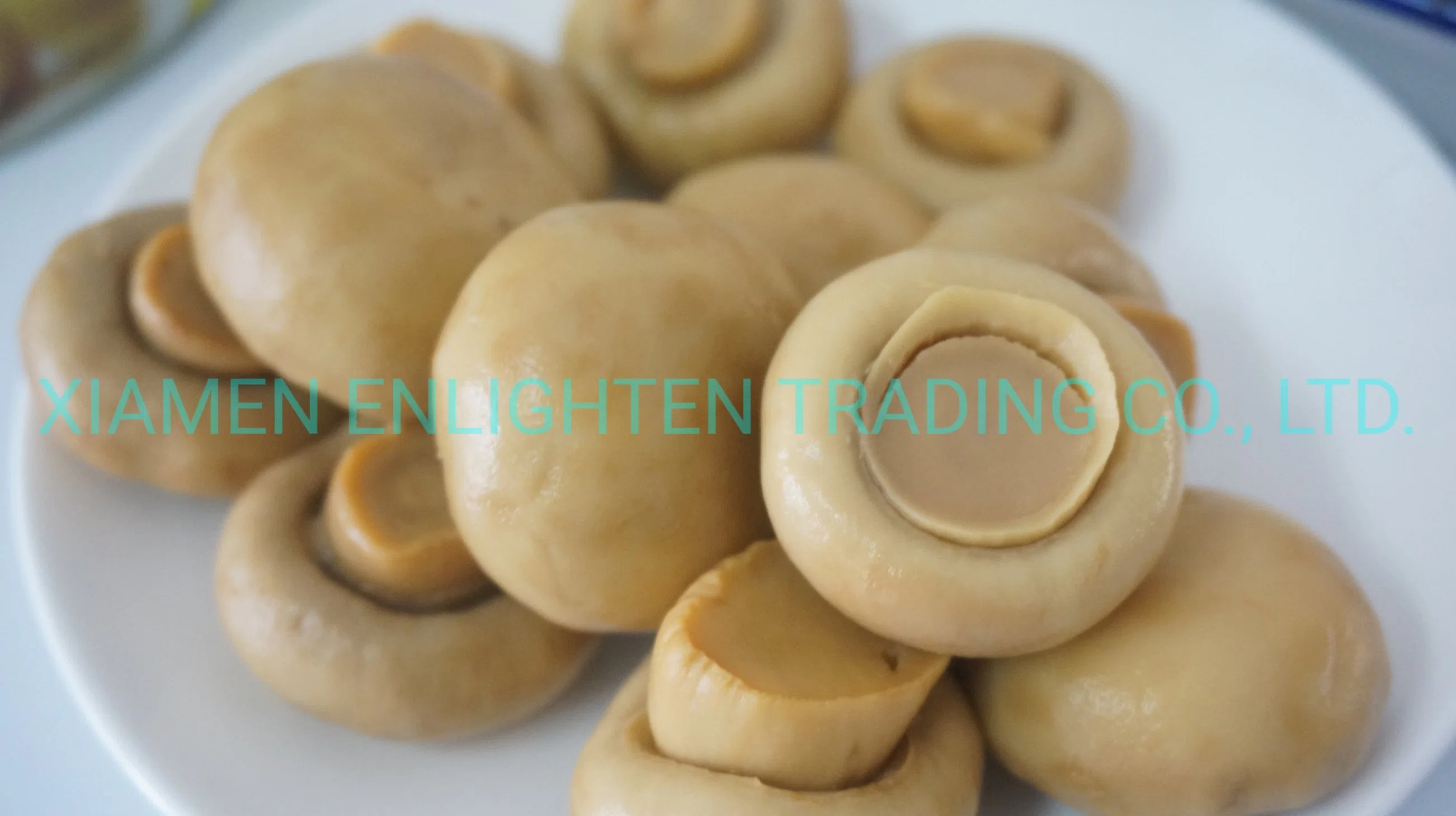 Snow White Champignon / Button Mushroom 184G