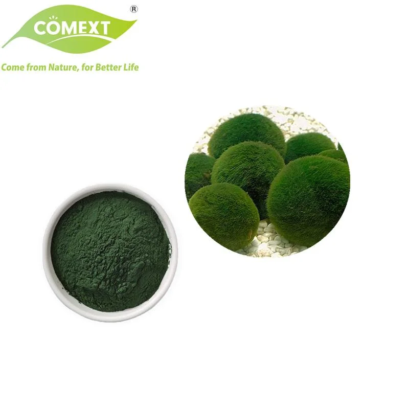 Comext Hot Selling Lower Blood Fat Nutritional Supplement Chlorella Vulgaris Powder Chlorella