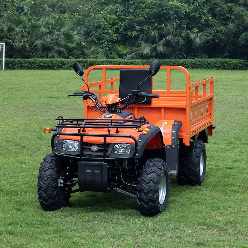 Shaft Drive Electric Quad 4X4 EV Adult Aerobs Farm ATV