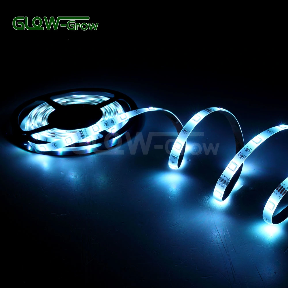 10 م 30 مصباح LED/M 3.6 وات/م 12 فولت/24 فولت مرن SMD RGB شريط ضوء LED لبار الزفاف منزل الكريسماس