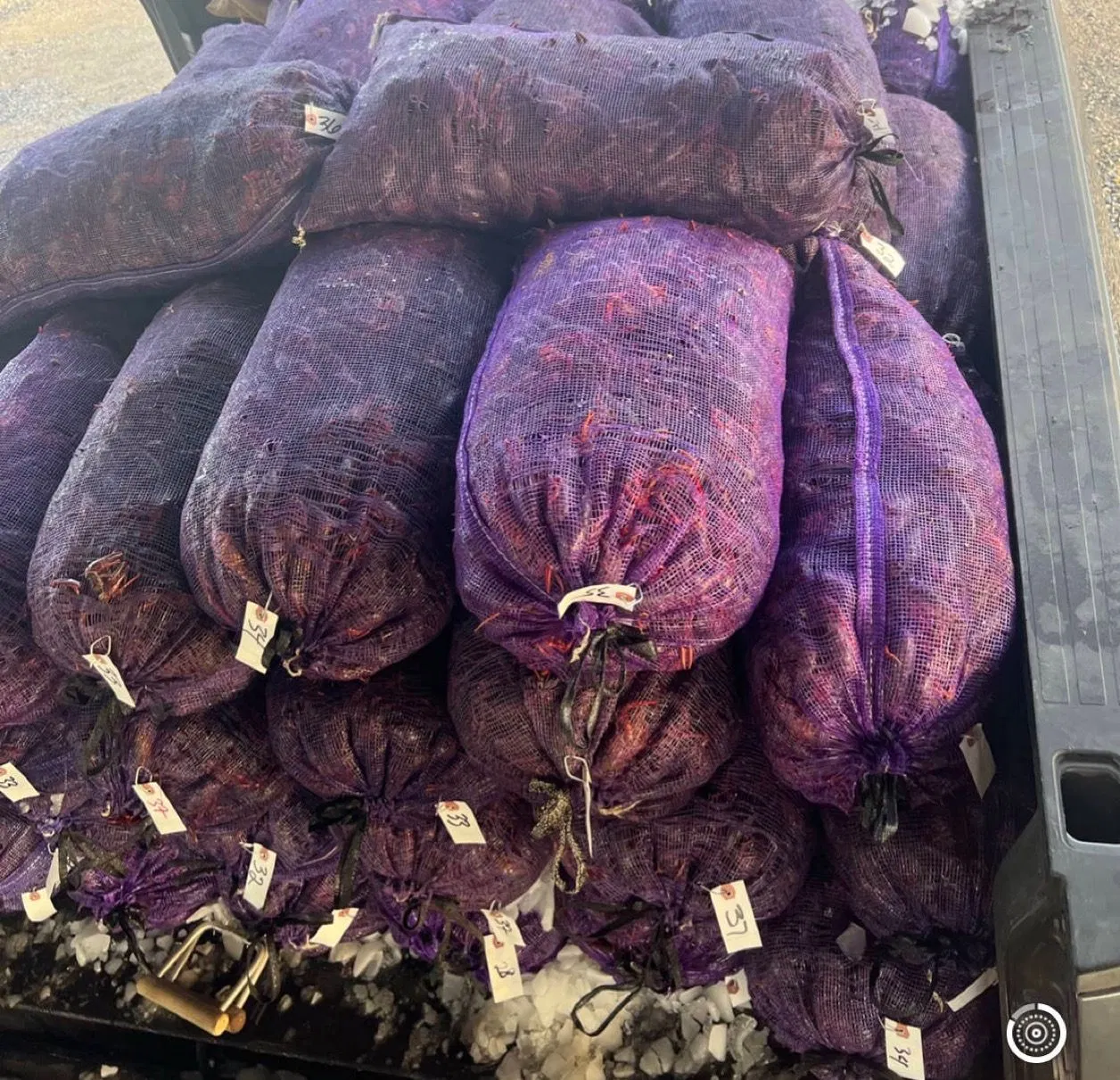 Bolsa de Leno PP púrpura se utiliza para cebollas patatas pescado envasado