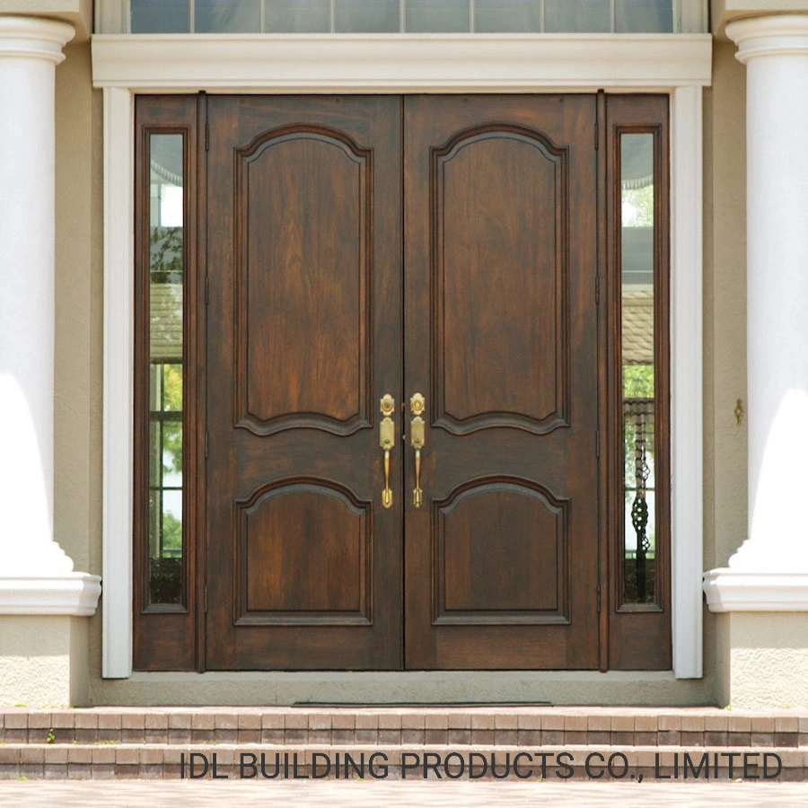 Novo design Iron Door House designs principais Catálogo simples Iron Porta para casas com controlo remoto