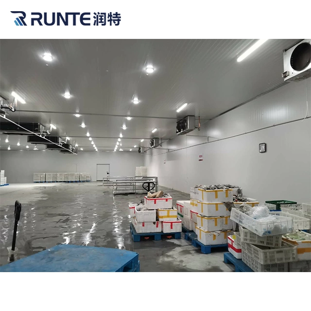 Runte Brand Industrial المتكاثفة الوحدة PU لوحة المشي في الثلاجة حجرة التجميد Air Blast Cold Room Storage for thuroat throat mat الأسماك المأكولات البحرية سابقة التجهيز