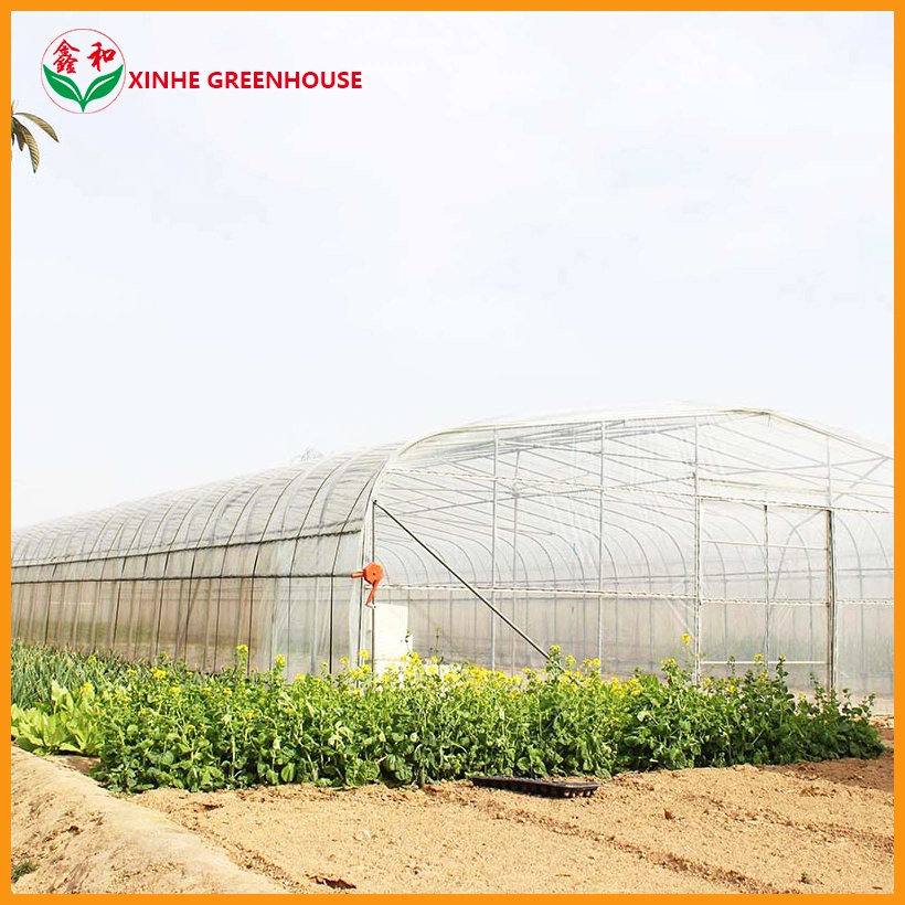 Tunnel Type Agriculture 200 Micorn Film Greenhouse